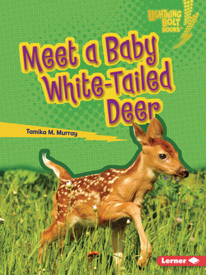 cover image of Meet a Baby White-Tailed Deer